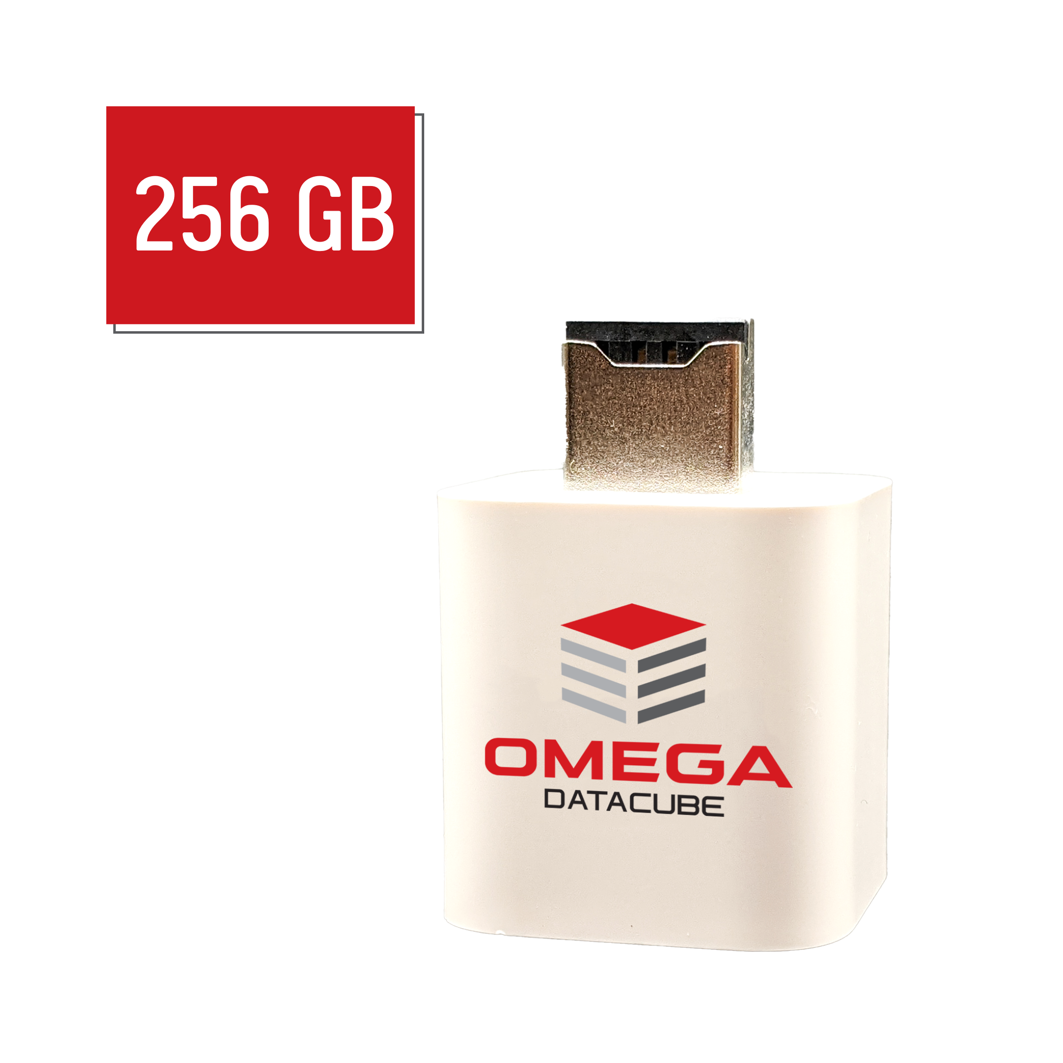 Omega DataCube - 256 GB